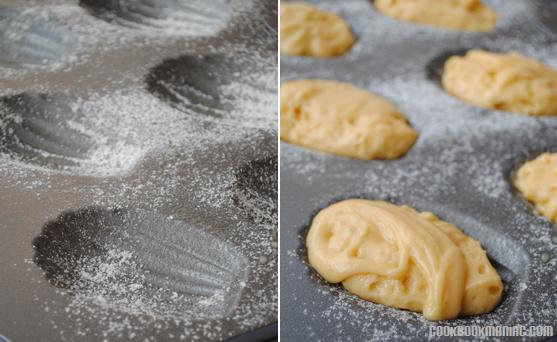 Marcel Proust Madeleines Cookies